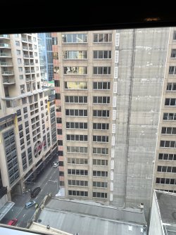 IMG_4773.jpeg