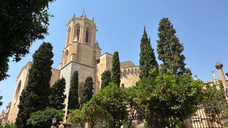 IMG_6773.JPEG