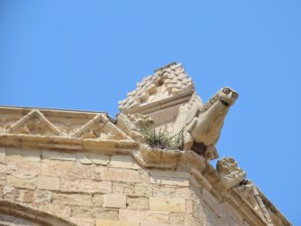 IMG_9815.JPG