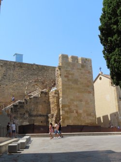 IMG_9820.JPG