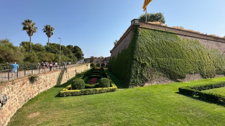 IMG_6851.JPEG