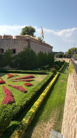 IMG_6853.JPEG