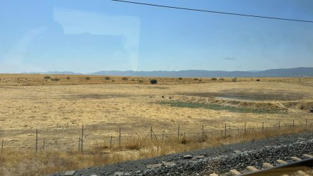 IMG_6899.JPEG