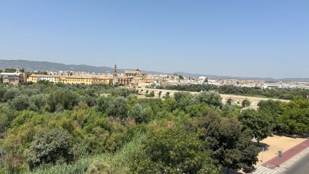 IMG_6912.JPEG