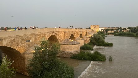 IMG_6973.JPEG