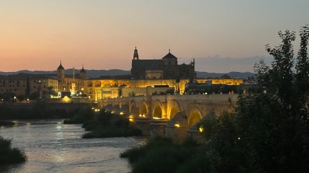 IMG_6983.JPEG