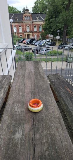 1755409524690.jpeg