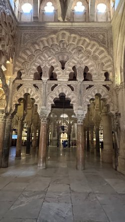 IMG_7015.JPEG
