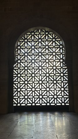 IMG_7125.JPEG
