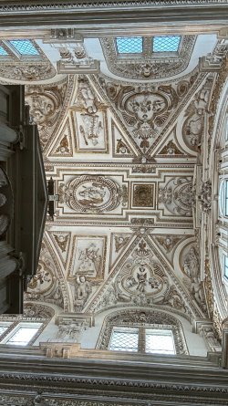 IMG_7058.JPEG
