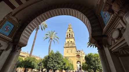 IMG_7141.JPEG