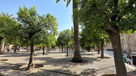 IMG_7142.JPEG