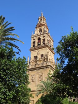 IMG_9861.JPG