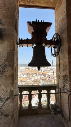 IMG_7196.JPEG