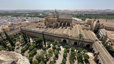 IMG_7206.JPEG