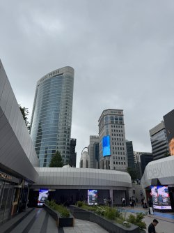 IMG_9848.JPEG