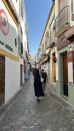 IMG_7144.JPEG