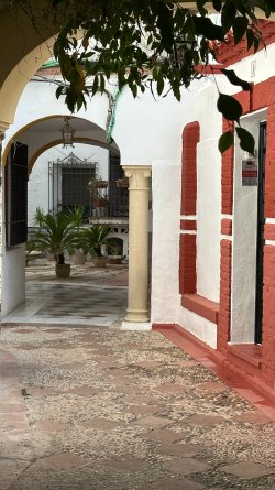 IMG_7149.JPEG