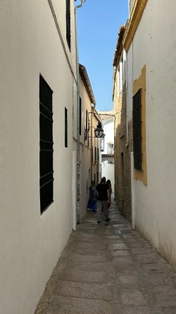 IMG_7150.JPEG