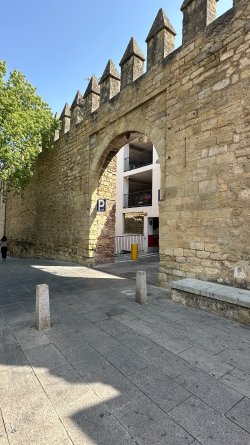 IMG_7177.JPEG