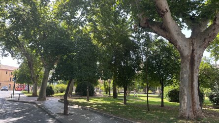 IMG_7181.JPEG