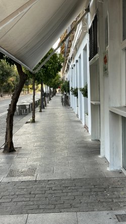 IMG_7244.JPEG