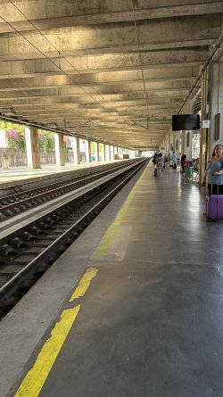 IMG_7267.JPEG