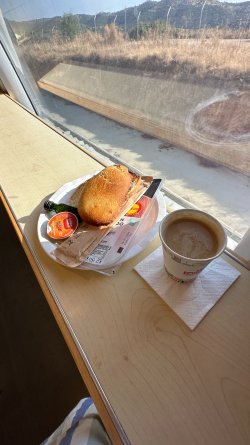 IMG_7281.JPEG