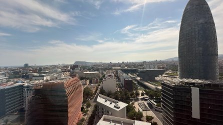 IMG_7309.JPEG