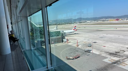 IMG_7336.JPEG