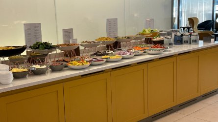 IMG_7382.JPEG