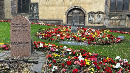 IMG_7416.JPEG