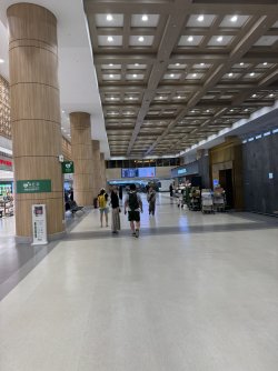 IMG_9903.JPEG