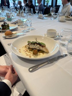 IMG_3359.jpeg