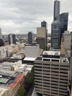 IMG_3365.jpeg