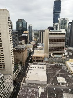 IMG_3366.jpeg