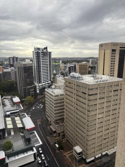 IMG_3367.jpeg