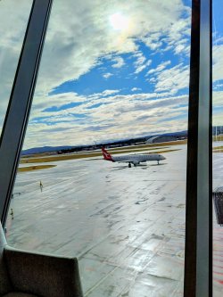 IMG_20250821_091209894_HDR_AE~2.jpg