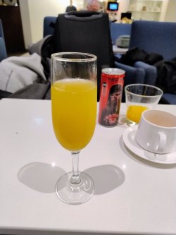 IMG_20250822_082248594_AE.jpg