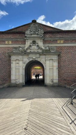 IMG_7882.JPEG