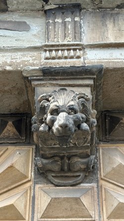 IMG_7902.JPEG