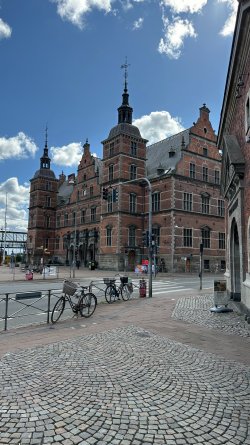 IMG_7964.JPEG