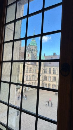 IMG_7926.JPEG