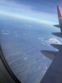 IMG_0111.jpeg