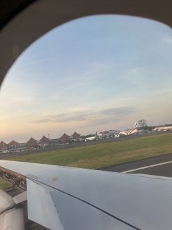 IMG_0138.jpeg