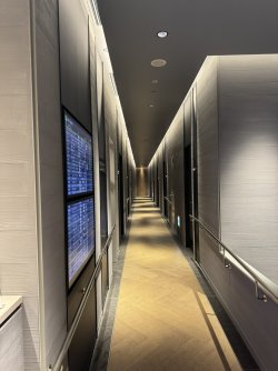 IMG_9942.JPEG