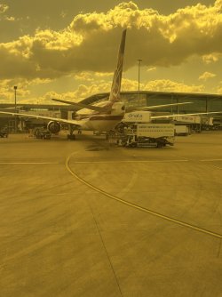 IMG_2067.jpg