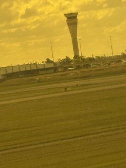 IMG_2075.jpg