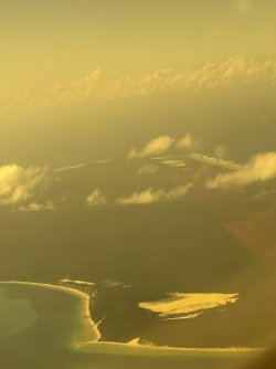 IMG_2076.jpg