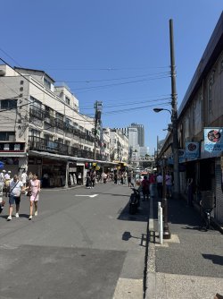 IMG_9961.JPEG